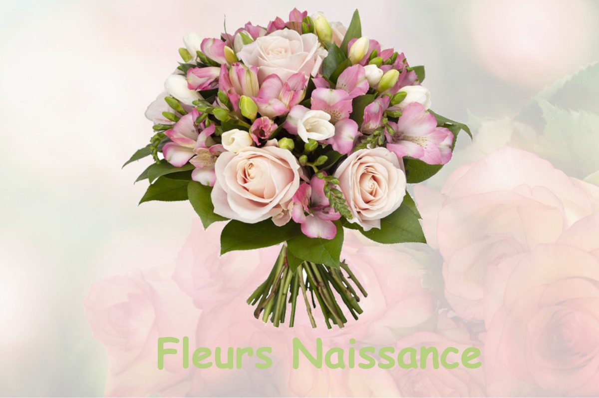 fleurs naissance CHAMPROUGIER