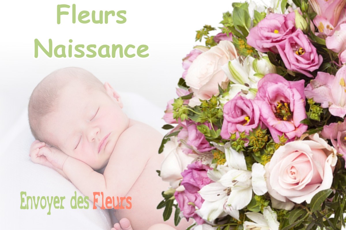 lIVRAISON FLEURS NAISSANCE à CHAMPROUGIER